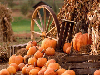 Pumpkins hay bale wooden wheel - a wagon free wallpaper