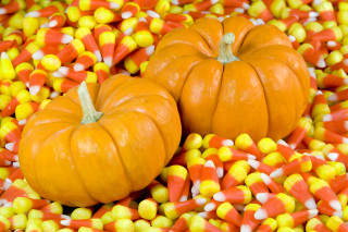 Pumpkins candy corn table background 2 - the top free wallpaper