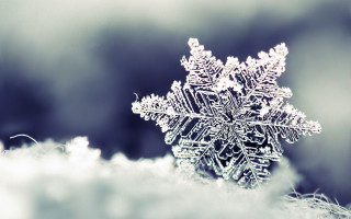 Snowflake in the middle of - the middle of the picture free wallpaper