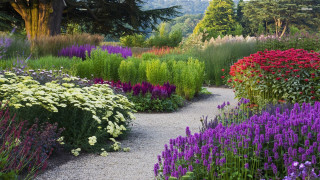 Garden flower path mountain nature - blunt border free wallpaper for desktop