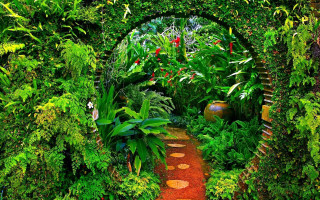 Garden path plants potted plant - a path free wallpaper