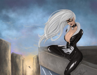 Woman cat suit ledge bird - a woman in a cat suit free wallpaper