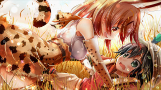 Girl cow grass field cat - the ground next free wallpaper