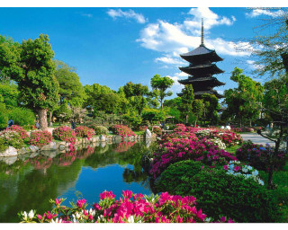 Pond flowers pagoda blue sky - a pond free wallpaper for desktop