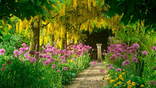 Garden flowers trees stone path - a stone path free wallpaper