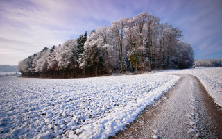 Snowy road field trees blue - cloud above free wallpaper