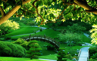 Bridge pond park lush green - a path free wallpaper