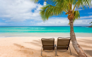 Beach two chairs palm tree 2 - two chair free wallpaper