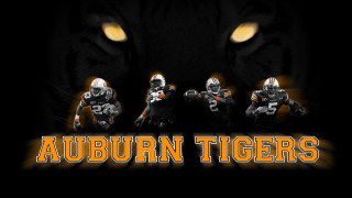 Tiger football players auburn tigers - a. b. jackson free wallpaper