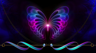 Butterfly purple blue wings black - swirl free wallpaper