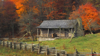 Rustic cabin woods fall colors 2 - balcomb greene free wallpaper
