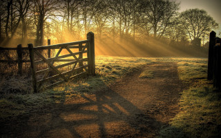 Path gate field trees sun - the fog free wallpaper