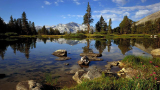 Lake rocks trees mountain blue - rock and trees free wallpaper