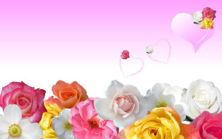 Flowers air heart pink sky - a bunch of flowers free wallpaper for desktop