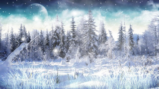 Snowy landscape full moon trees 4 - fantasy art free wallpaper