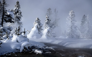 Snowy forest stream mountain mist - forest free wallpaper