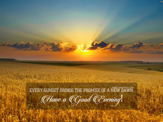 Wheat field sunset bible quote - evening free wallpaper