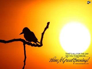 Bird branch sunset quote evening - a branch in front free wallpaper