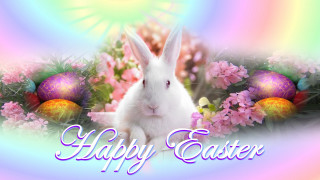 White rabbit easter flower background - a white rabbit free wallpaper