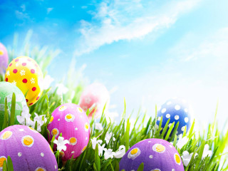 Colorful eggs grass daisies decorated - edi rama free wallpaper