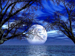 Full moon trees water night - moonlight free wallpaper