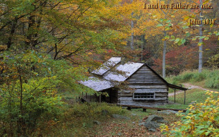 Cabin in the woods quote - david imms free wallpaper