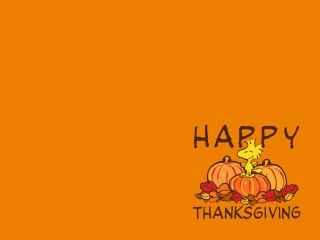 Happy thanksgiving cat pumpkin card - a happy thanksgiving free wallpaper