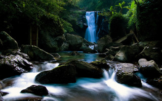 Waterfall forest rocks waterflow nature 2 - side and trees free wallpaper