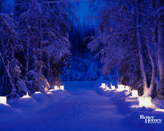 Snowy path night lights trees - ambient free wallpaper