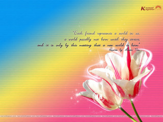 Pink flower rainbow background quote - widescreen free wallpaper for desktop
