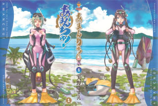 Beach woman blue suit pink - a book cover free wallpaper