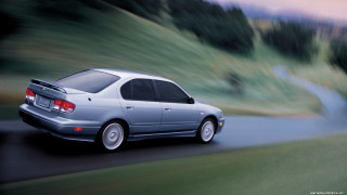 Silver car driving road forest 2 - a forest of trees and grass free wallpaper