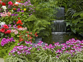 Garden waterfall flowers plants nature - rich vivid color free wallpaper