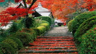Steps house red leaves trees - a house free wallpaper