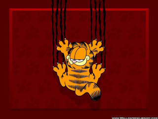 Cartoon cat hanging red wall - a red frame free wallpaper