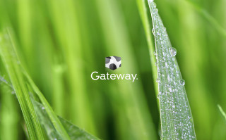 Close up grass gateway logo - a logo free wallpaper