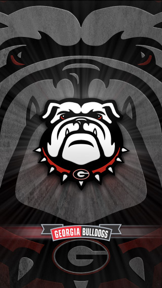 Black white bulldog red collar - gritty free wallpaper for mobile