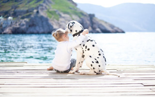 Little girl dock dalmatian dog - a dalmatian dog free wallpaper