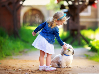 Little girl petting small dog - a small dog free wallpaper
