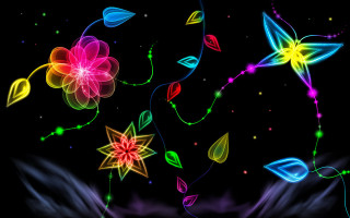 Colorful flower lights petals leaves - many light free wallpaper