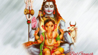 God cow flute bull shoulder - divine free wallpaper