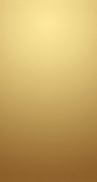 Gold background white black cat - free sky wallpaper for mobile