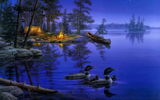 Ducks swimming lake night campfire - brothers hildebrandt free wallpaper