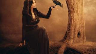 Woman long dress holding bird - a tree trunk free wallpaper