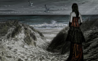 Woman dress beach ocean birds - somber free wallpaper for desktop