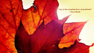Close up leaf quote on - a quote free wallpaper