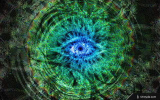 Blue green flower black background - dmt free wallpaper