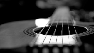 Guitar strings closeup black white 4 - shallow free wallpaper