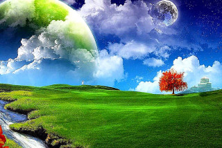 Tree stream green field red - a red flower in the foreground free wallpaper