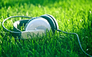 Headphones grass frisbee ground outdoors - a frisbee free wallpaper